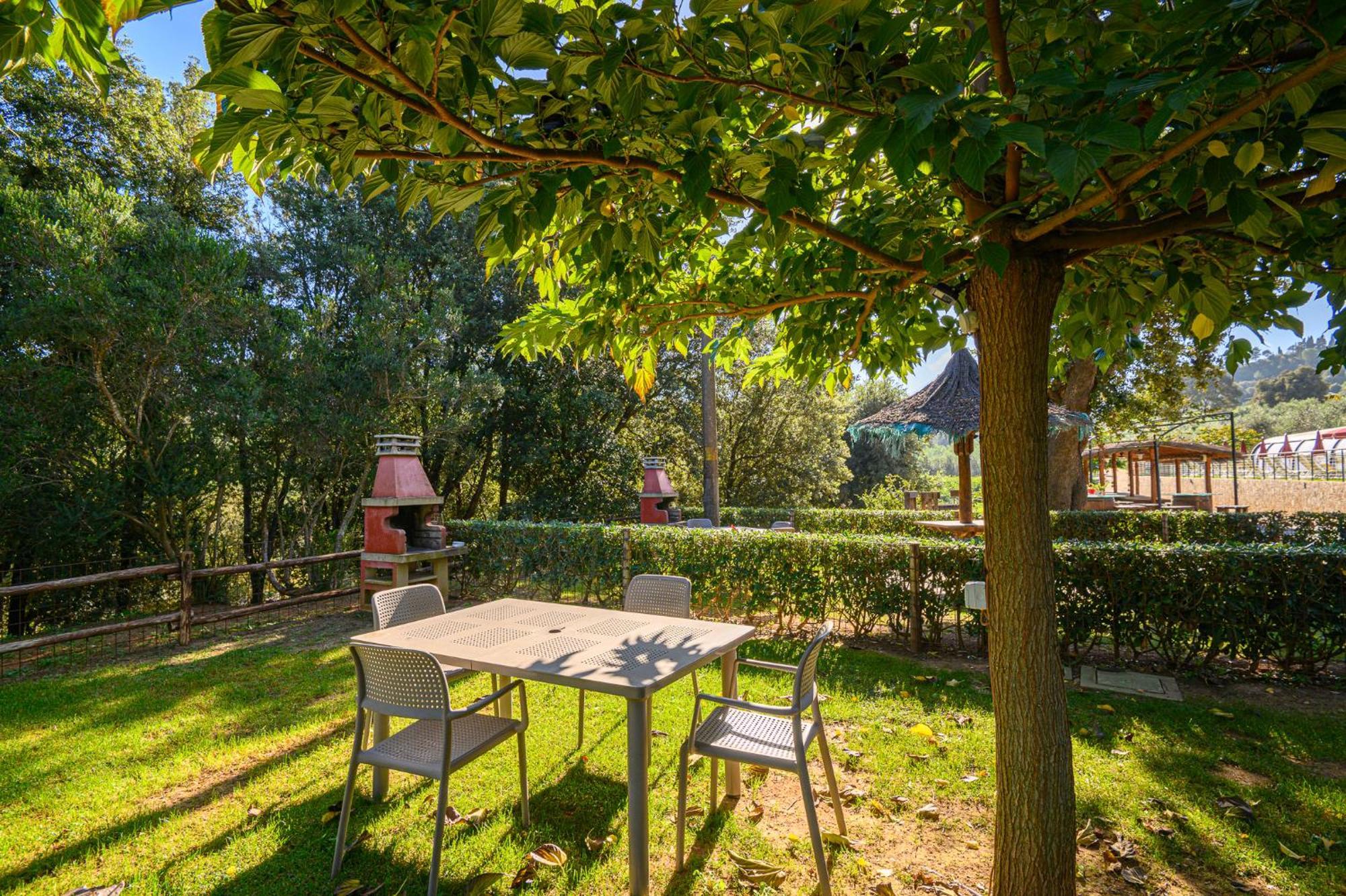 Apartment mit 1 Schlafzimmer
